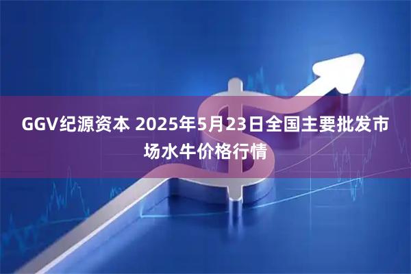 GGV纪源资本 2025年5月23日全国主要批发市场水牛价格行情