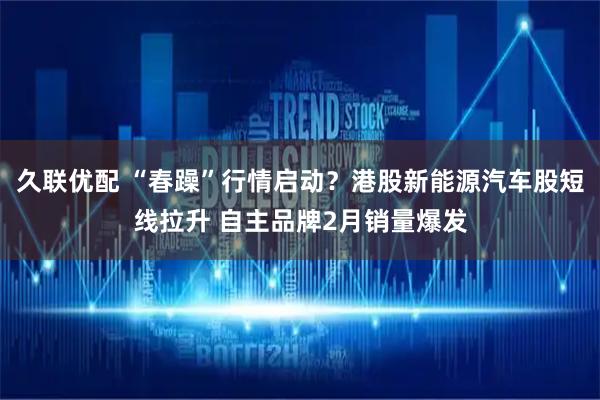 久联优配 “春躁”行情启动？港股新能源汽车股短线拉升 自主品牌2月销量爆发